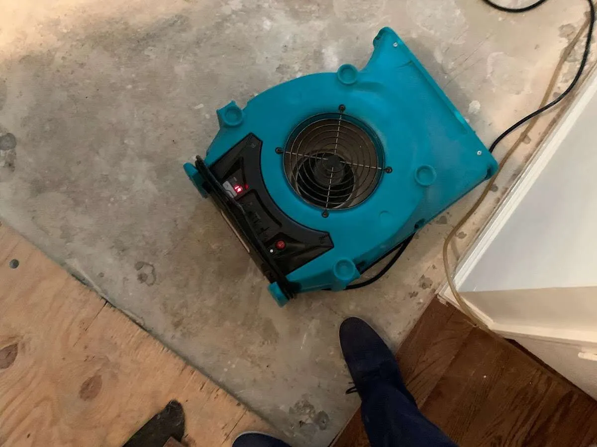 Air mover drying subfloor during Commercial Water Damage Restoration in Wood-Ridge